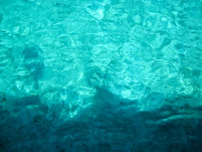 Waving in the Water
