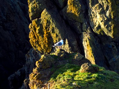 Yaquina Head in OR
