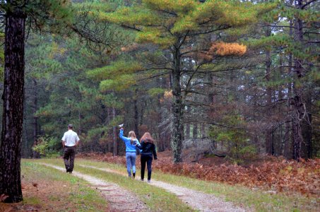Calling birds at Seney National Wildlife Refuge
