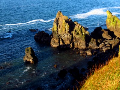 Yaquina Head in OR photo