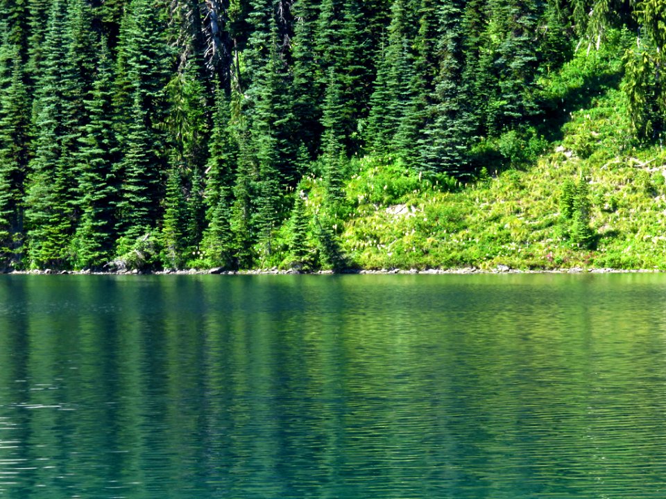 Eunice Lake at Mt. Rainier NP in WA