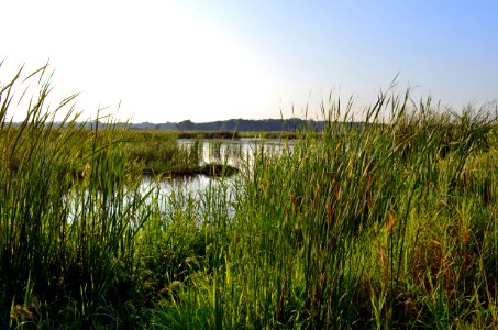 Long Meadow Lake Unit photo