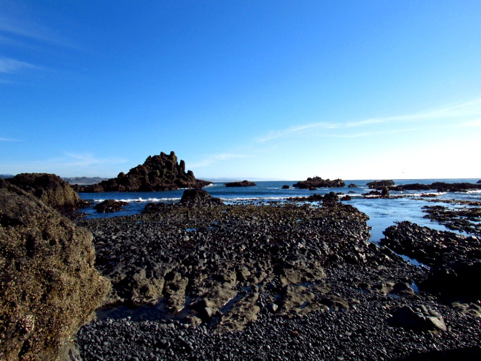 Cobble Beach at Yaquina Head in OR