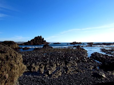 Cobble Beach at Yaquina Head in OR