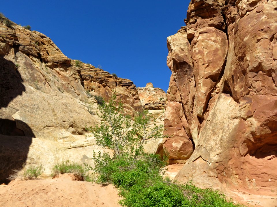 Capitol Reef NP in UT