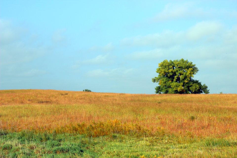 Fall on the prairie