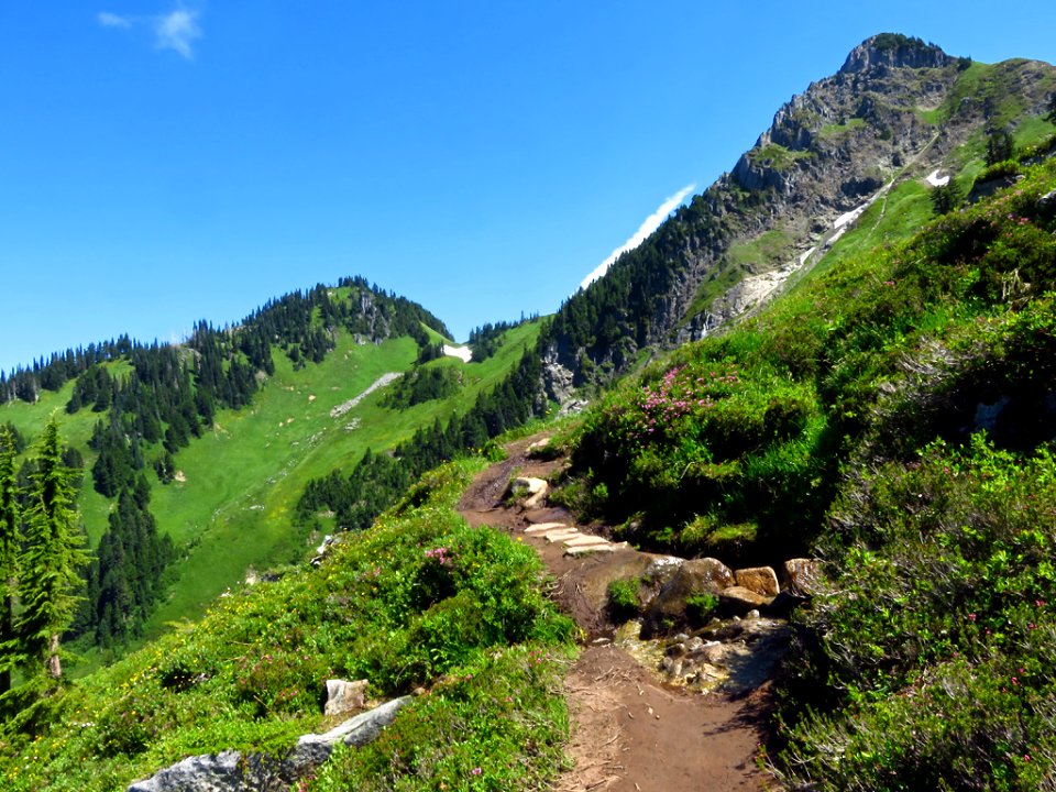 Hidden Lake Trail at North Cascades NP in WA