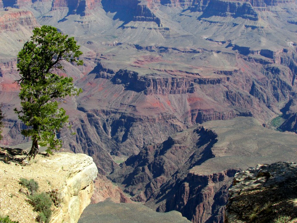 Grand Canyon NP in AZ
