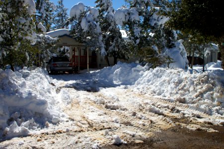 Thanks to Whomever Cleared my Driveway.. photo
