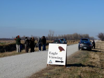 Bagle Eagle Viewing Station photo