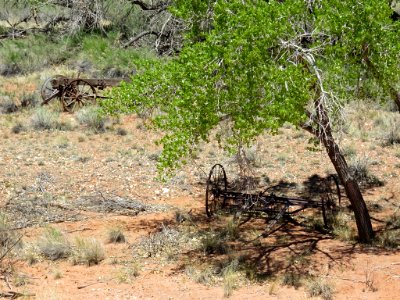 Capitol Reef NP in UT