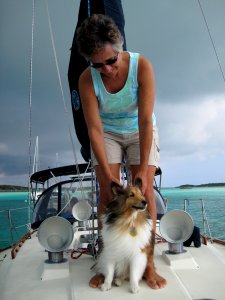 Baily the Sailor Dog