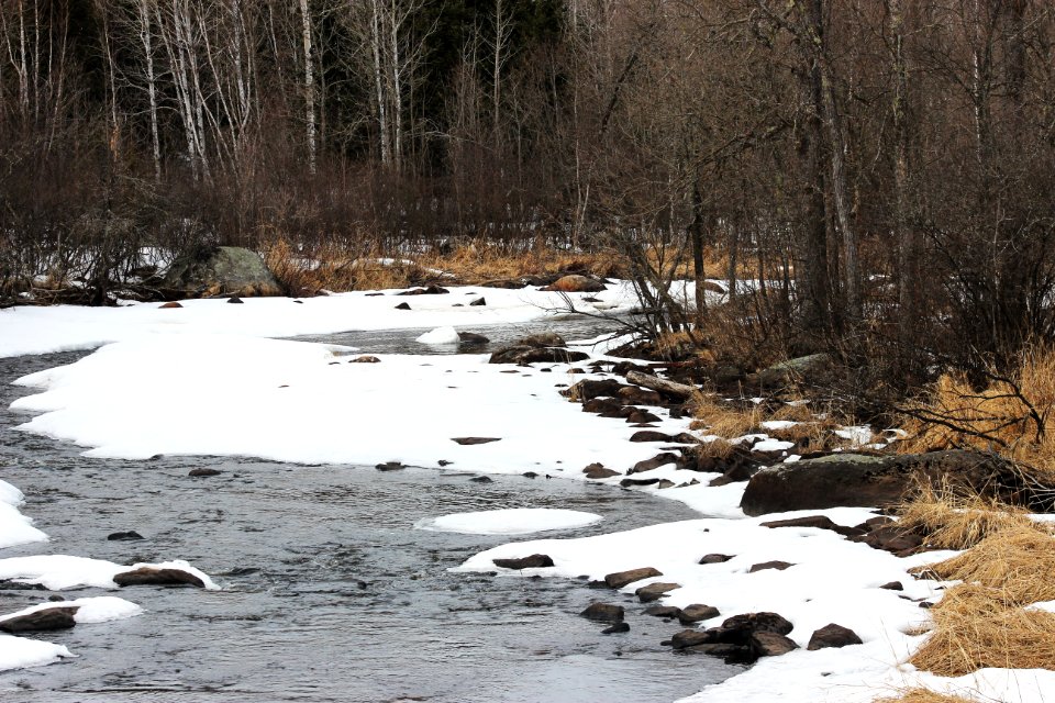 Partridge River