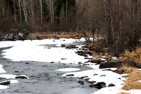 Partridge River photo