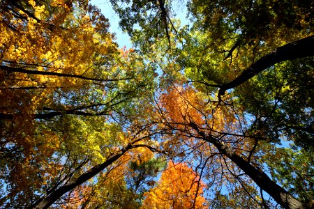 Fall Hiking