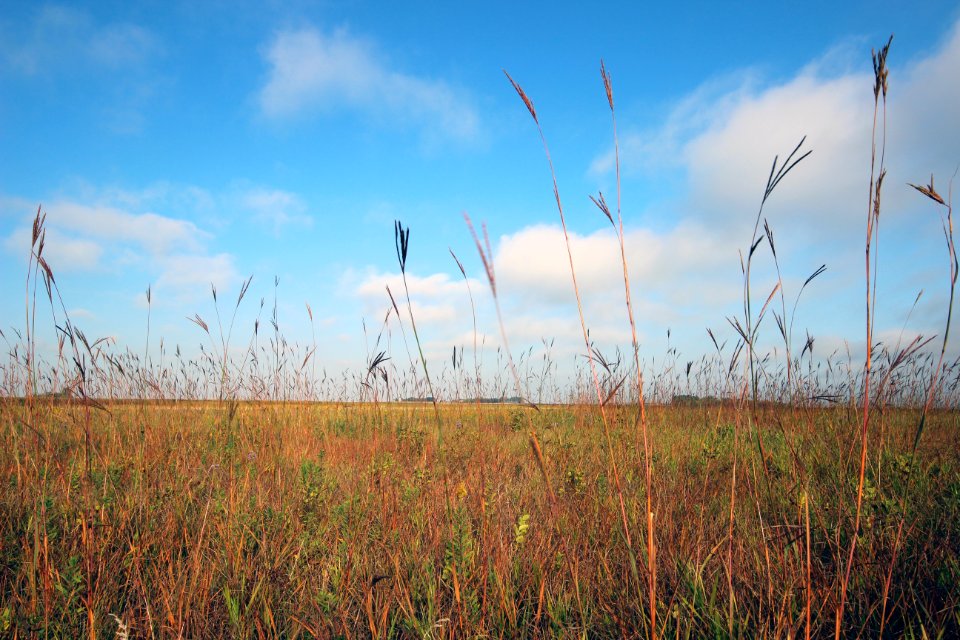 Jim Gritman Waterfowl Production Area