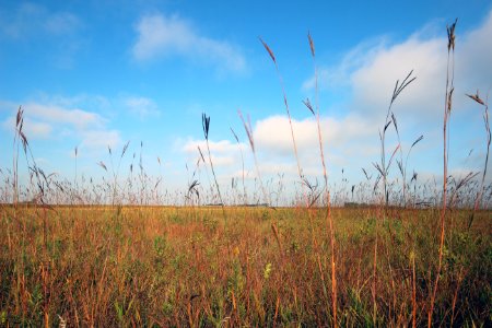 Jim Gritman Waterfowl Production Area photo