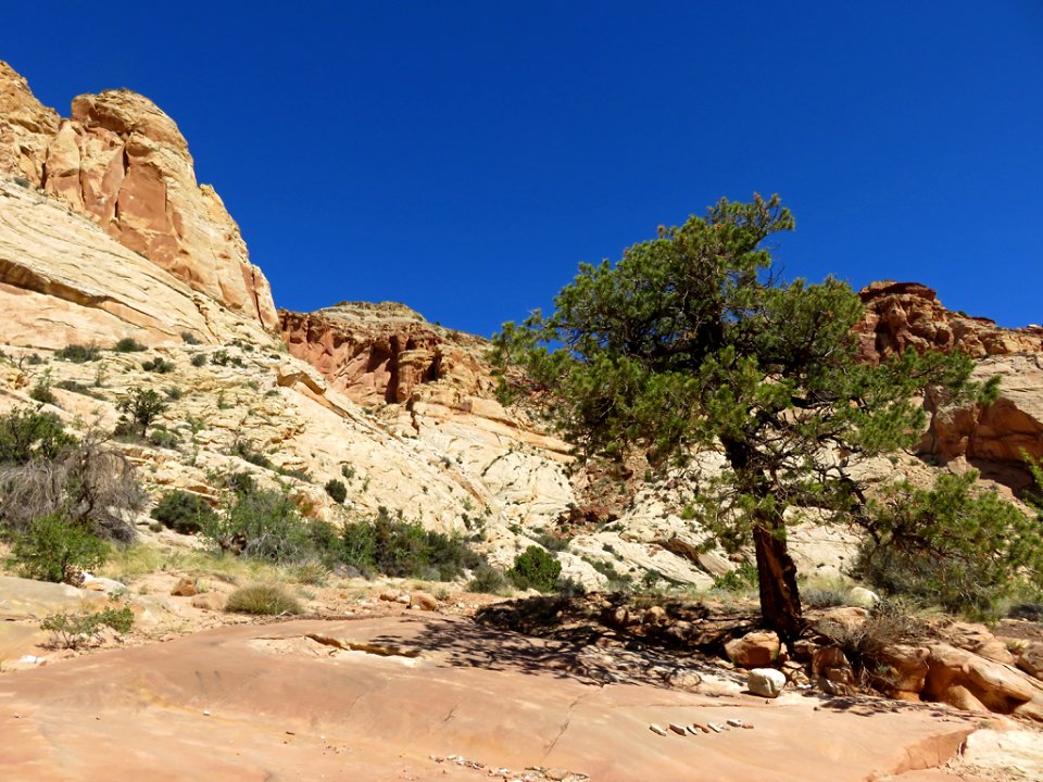 Capitol Reef NP in UT