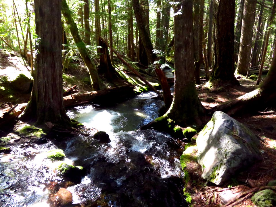 Ramona Falls Hike at Mt. Hood Wilderness in Oregon
