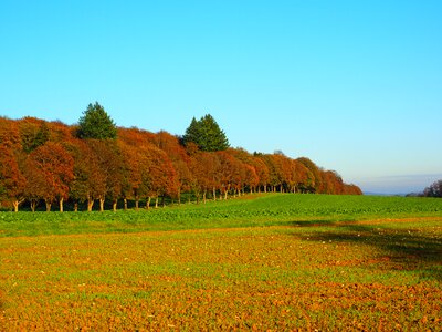 Autumn autumn mood field photo