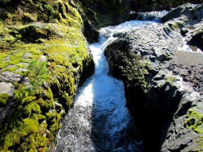 Lava Canyon Trail in Washington photo