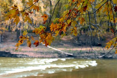 Carver Rapids Background