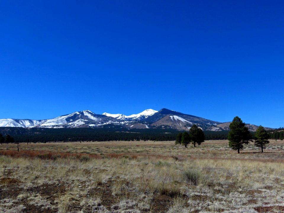 Sunset Crater Volcano NM in AZ