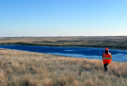 Grouse Hunting