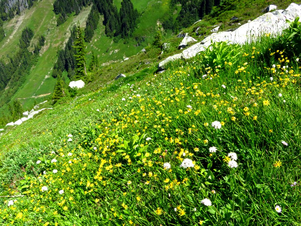 Hidden Lake Trail at North Cascades NP in WA
