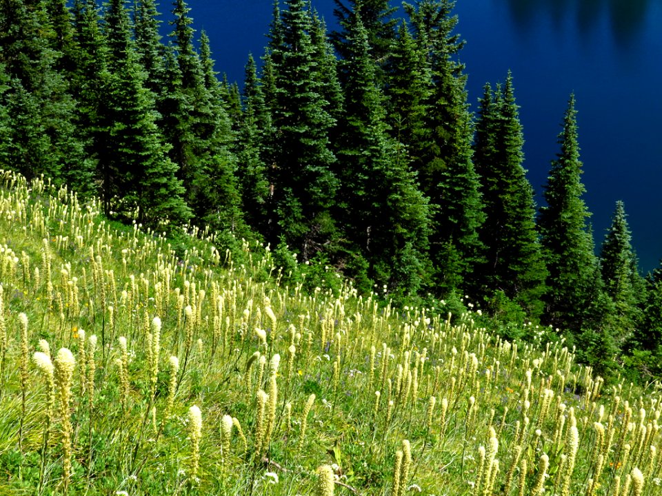 Eunice Lake at Mt. Rainier NP in WA