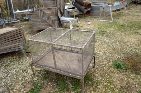 Genoa NFH Holding Cage for Mussel Fish Host photo