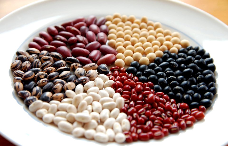 BEAN