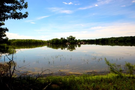 Louisville Swamp, Minnesota Valley National Wildlife Refuge