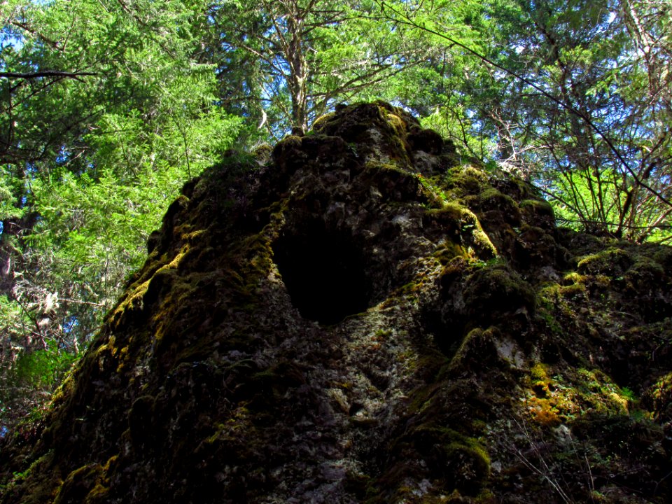 Falls Creek Falls Trail in WA