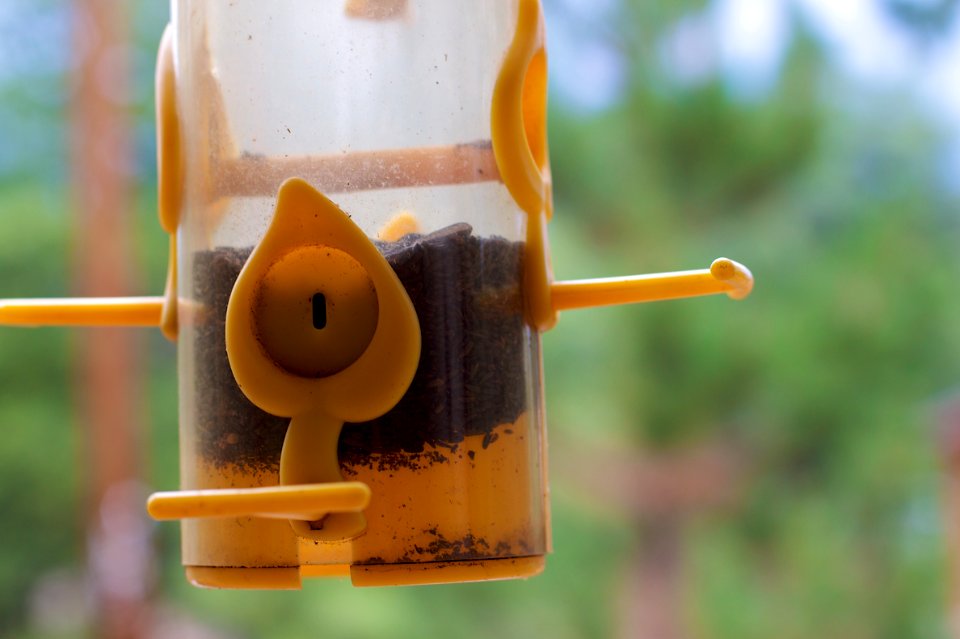 Thistle Seed Feeder