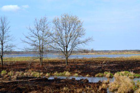 Prescribed Burn at Necedah National Wildlife Refuge photo