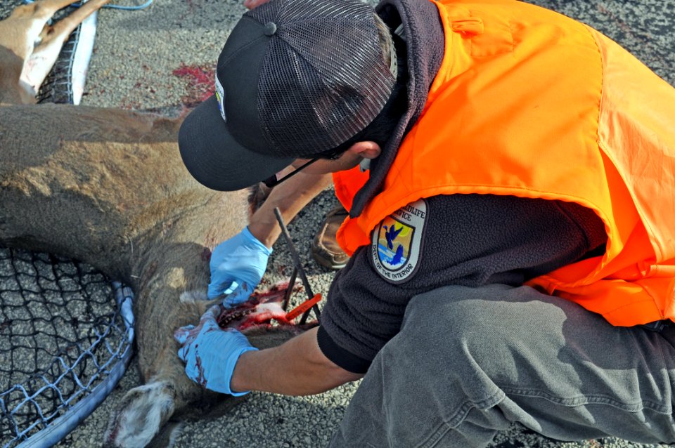 Eric Tomasovic CWD Sampling