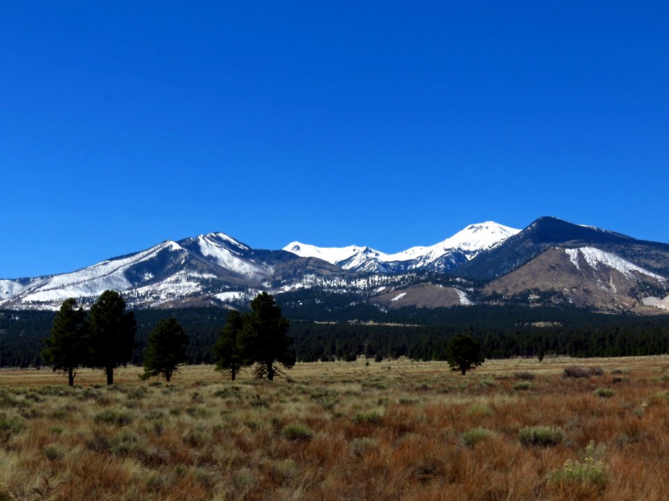 Sunset Crater Volcano NM in AZ