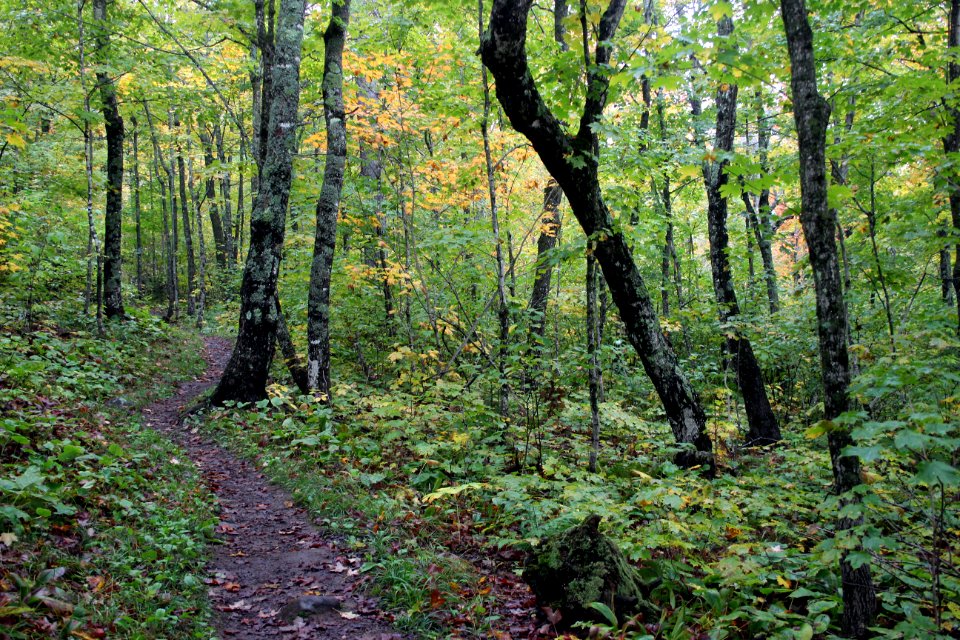 Fall Hiking