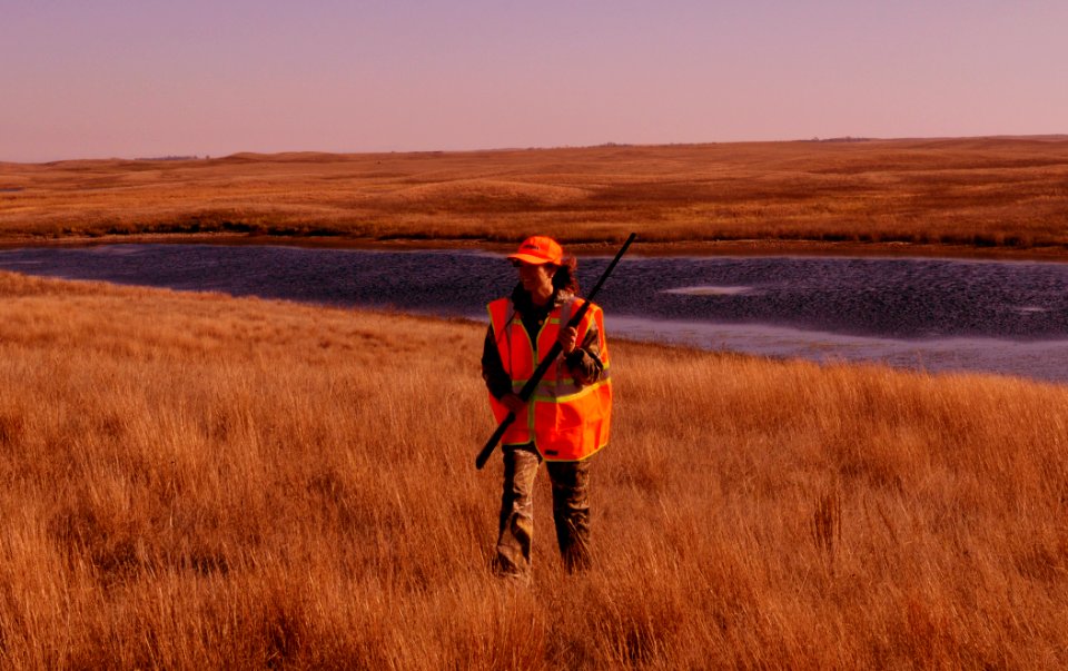 Grouse Hunting in Native Prairie.