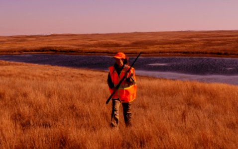 Grouse Hunting in Native Prairie. photo