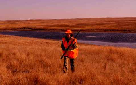 Grouse Hunting in Native Prairie.
