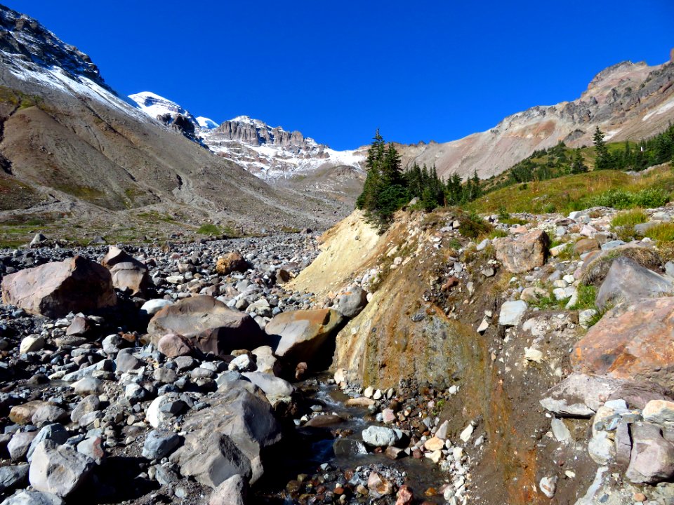 Glacier Basin Trail at Mt. Rainier NP in WA