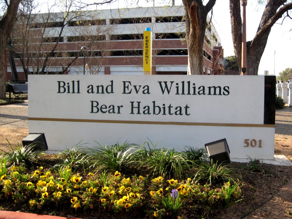 Every Campus Needs a Bear Habitat