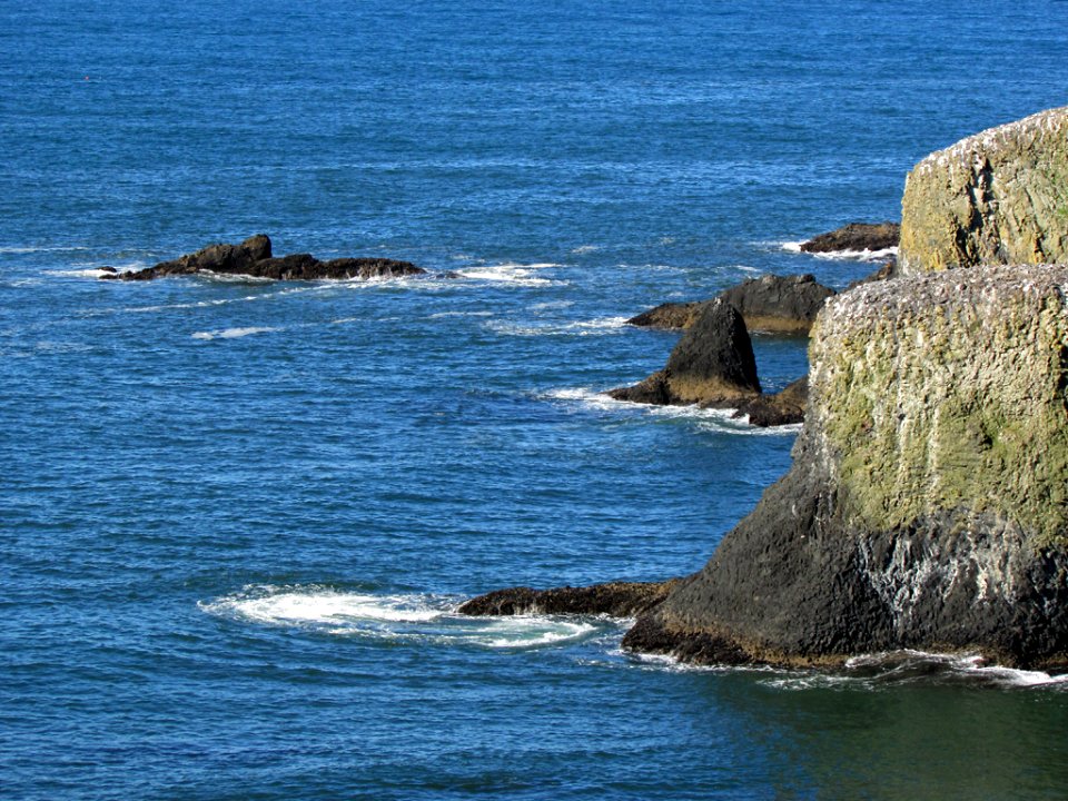 Yaquina Head in OR