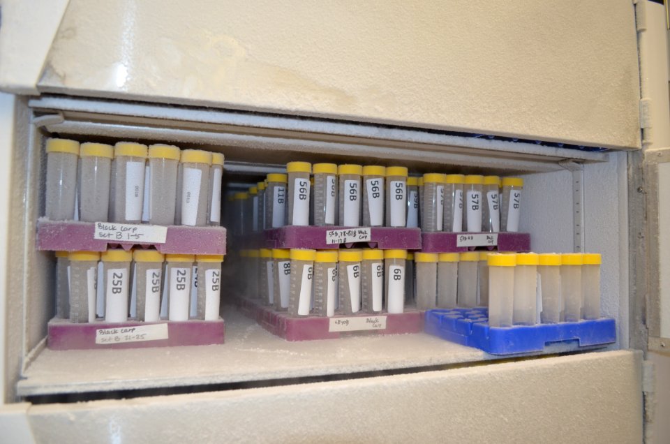 Whitney Genetics Lab eDNA Frozen Samples