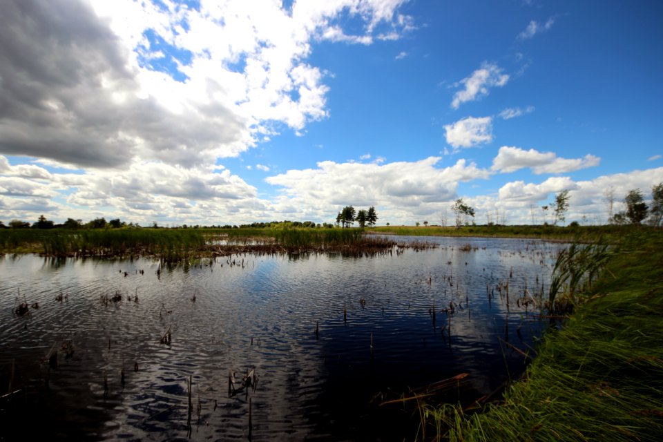 Sunny at Sherburne National Wildlife Refuge
