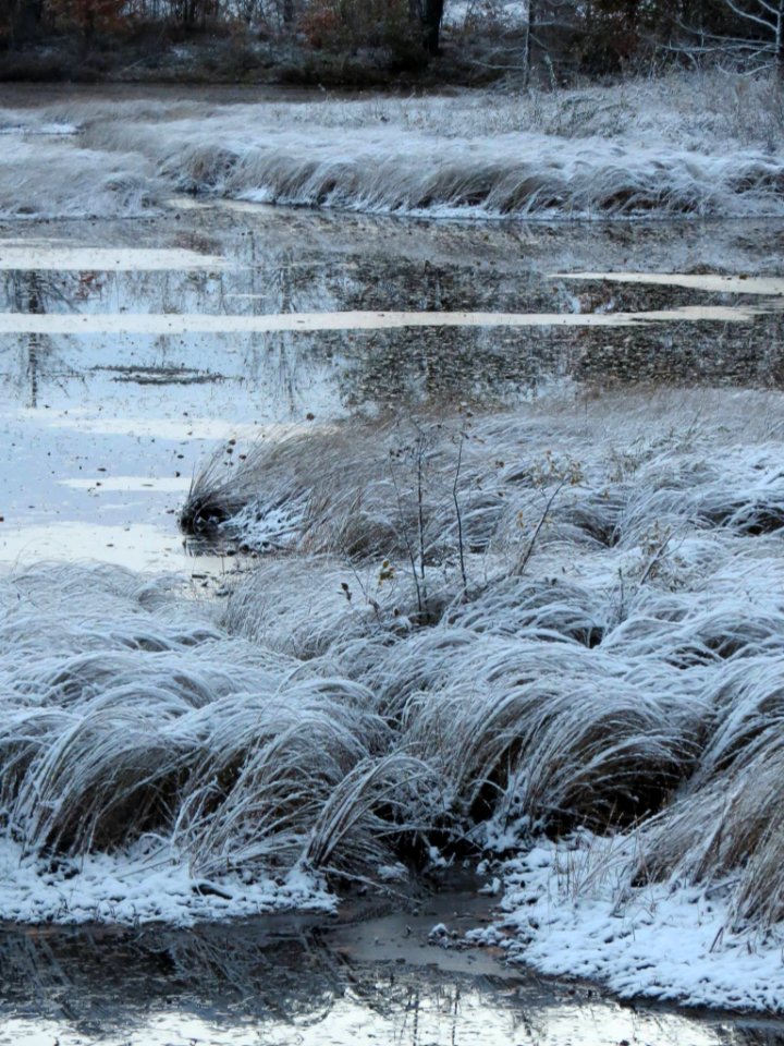 Early snowfall at Seney National Wildlife Refuge photo