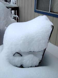 The Chair Cushions Have Grown
