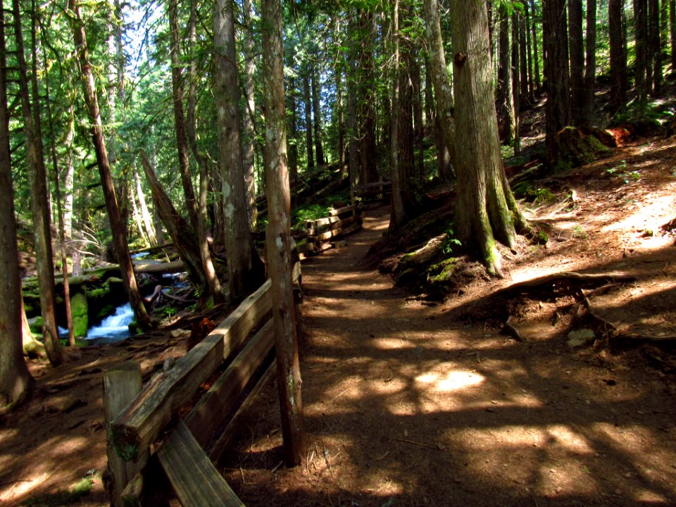 Panther Creek Falls Trail in WA